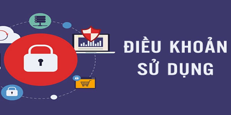 Điều Kiện Điều Khoản Tránh Vi Phạm Các Quy Định